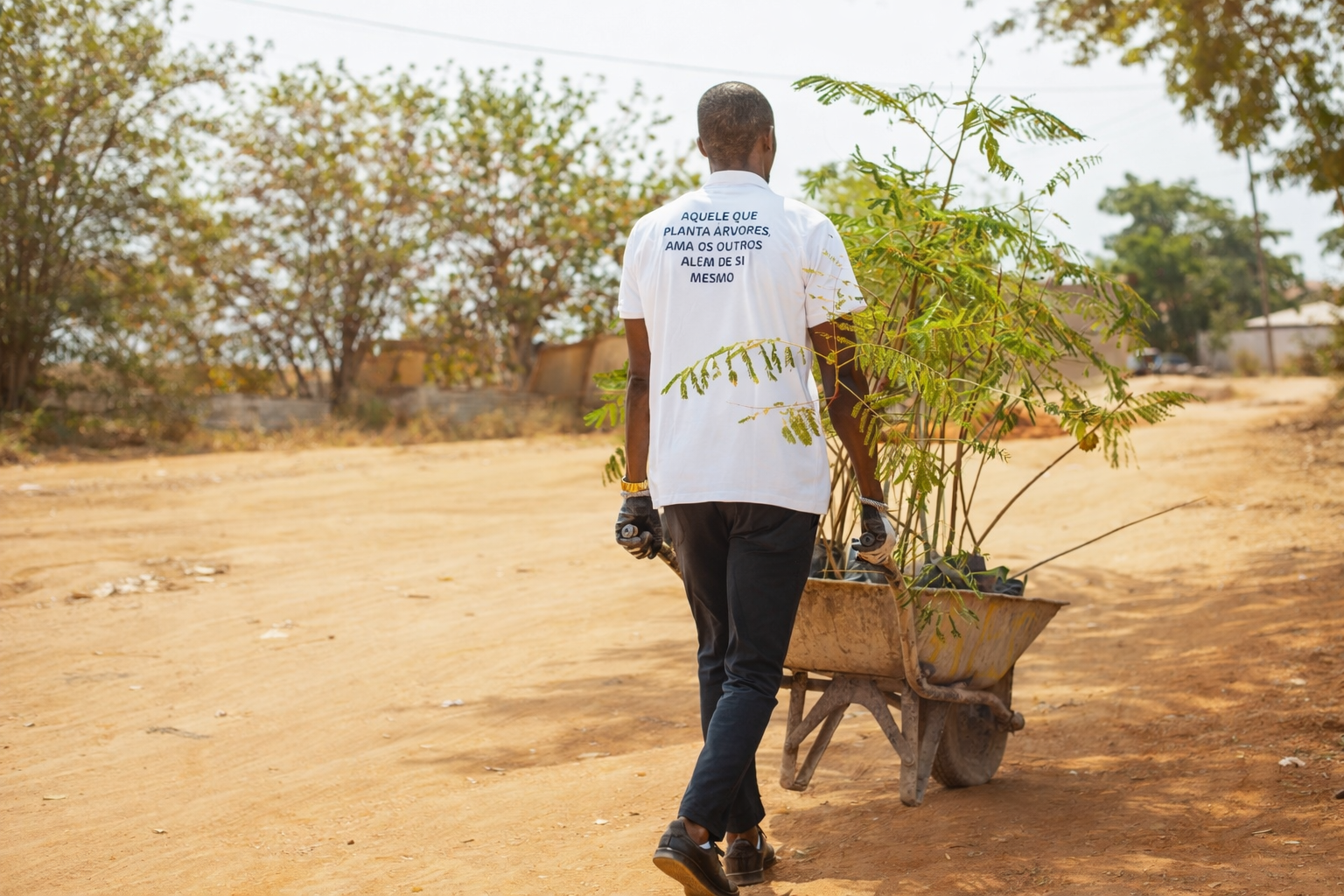 AES - Responsabilidade Social